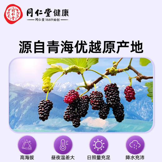 北京同仁堂  青源堂桑椹原浆300mL（30mLx10）Q2100161 商品图4