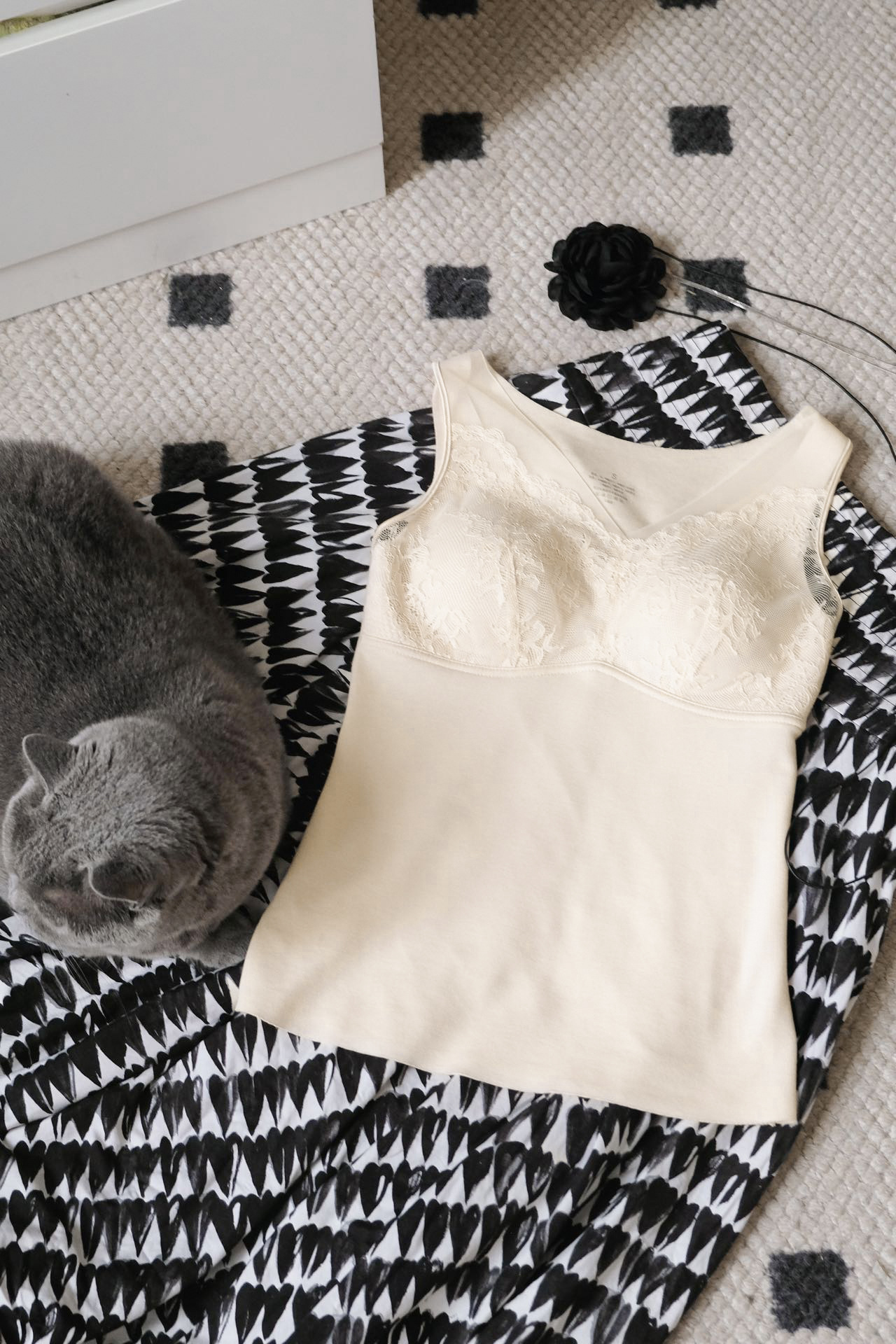 微信图片_20241117105329