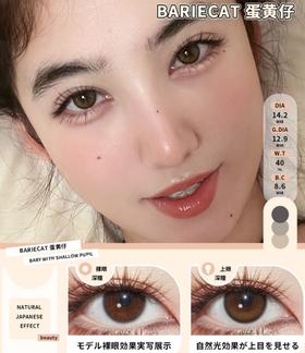 BarieCat 蛋黄仔棕（日抛）