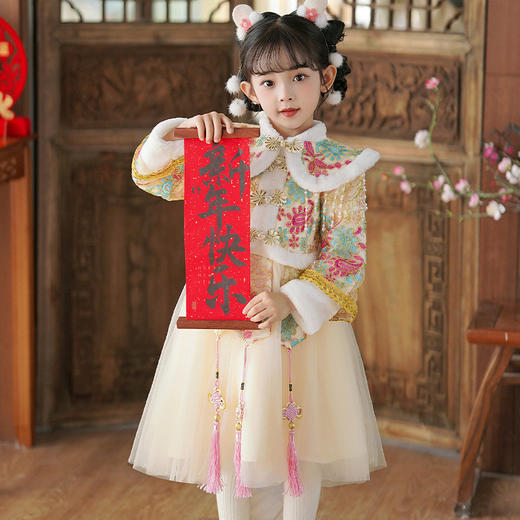 ST-HP366R女童唐装连衣裙2024新款冬季儿童加厚喜庆拜年服小女孩洋气公主裙 商品图2