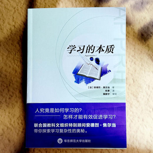 学习的本质 人是如何学习的 怎样有效促进学习 中小学教师教育理论 商品图1