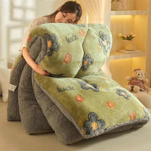 冬季双人双面羊羔绒被子冬被单人双人加厚保暖牛奶绒棉被芯宿舍 商品图3