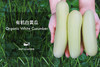 有机白皮黄瓜（500g） 商品缩略图1