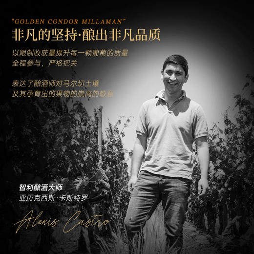 【五星级酒店指定用酒】智利名庄金鹰酒庄系列葡萄酒 智利原瓶进口 商品图11