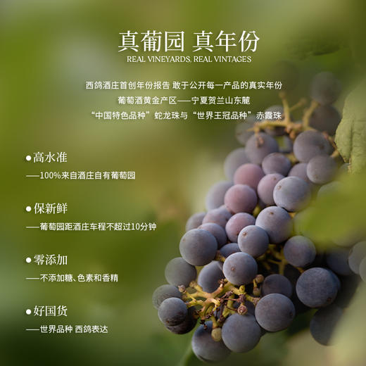 「新品上市」西鸽蛇年生肖纪念款干红葡萄酒 商品图6