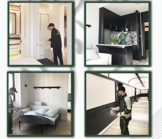 希望树 除甲醛家庭治理服务 商品图1