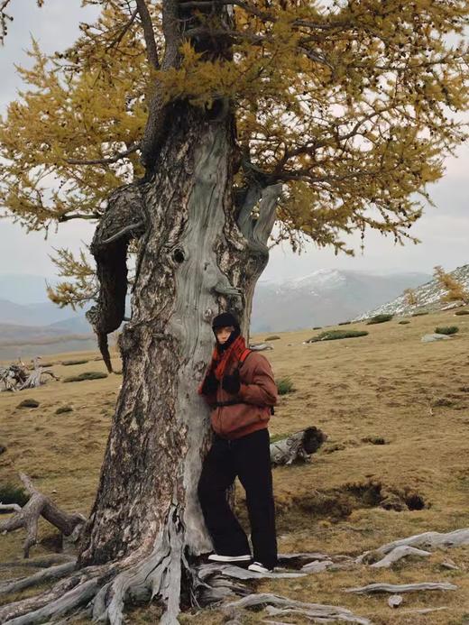 Evistub/E-4DWT827/飞行夹克MA1立领加厚工装外套棉服 商品图2