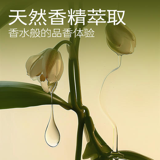 网易严选 植萃除味香挂-祈福系列 商品图11