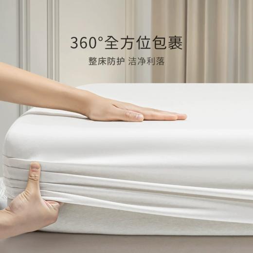 康尔馨四件套酒店纯棉2024新款进口100支埃及棉床笠床单被套全棉 商品图1