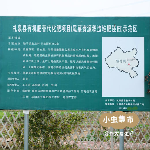 沃野青青有机西芹 4斤装 | 合作农友生产，来自陕西咸阳，生产者：郑力行 *【公平贸易农人定价】 商品图6