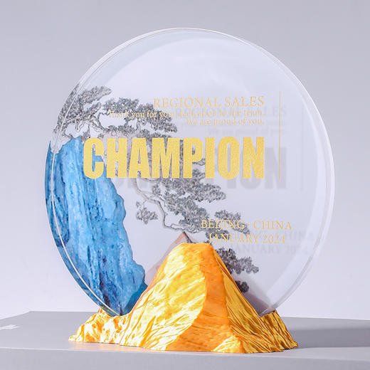 金山银山青山勇攀高峰3D打印奖杯奖牌年会礼品奖章员工奖励 商品图13