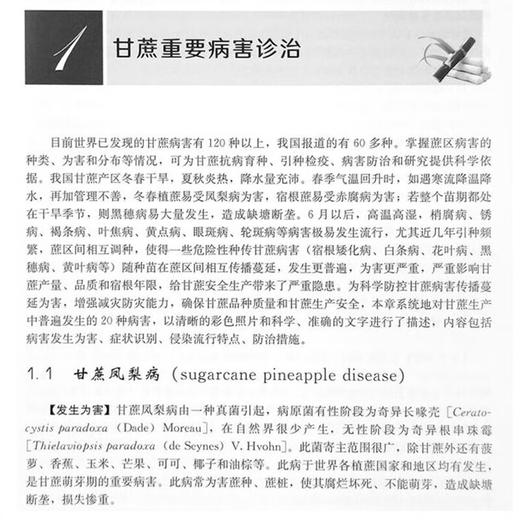 现代甘蔗病虫草害诊治彩色图谱【官方正版，可开发票，下单时留开票信息和电子邮箱】 商品图2