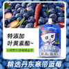 【小碗良食官方】苹果蓝莓汁100g袋 学生上班族日常营养果汁 富含花青素叶黄素 不添加蔗糖香精 商品缩略图1