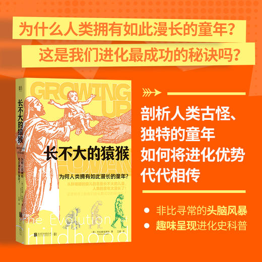 长不大的猿猴：为何人类拥有如此漫长的童年？ 商品图0