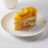 芒果千层切件 商品缩略图0