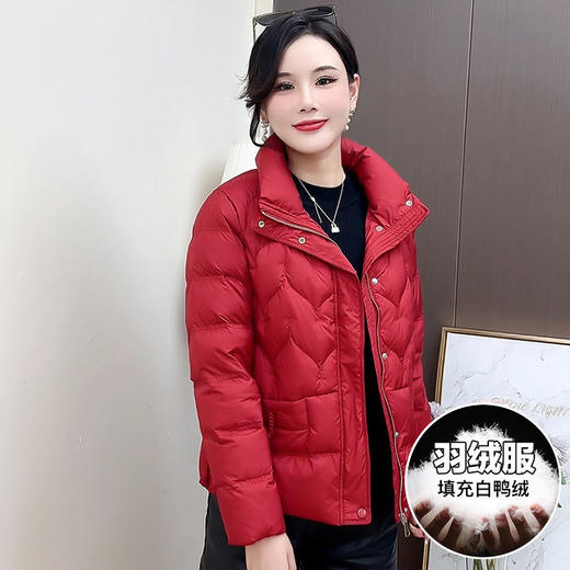QYMCR-SDD520-L纯色简约立领修身时尚羽绒服2024年冬款短款小个子防寒白鸭绒外套 商品图3