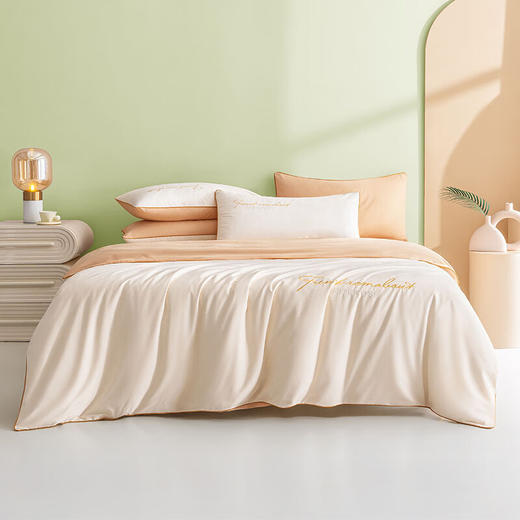蒙卡罗尼  60S轻奢天丝长绒棉四件套-奶咖200*230cm 商品图0