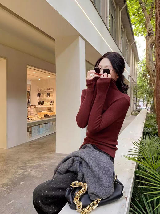 超细羊毛高领打底衫 商品图2