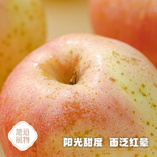 山东威海  雀斑美人苹果  多规格任选 商品图2