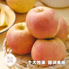 山东威海  雀斑美人苹果  多规格任选 商品缩略图0