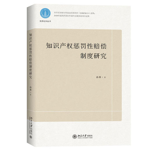 知识产权惩罚性赔偿制度研究 孙那 著 北京大学出版社 商品图0