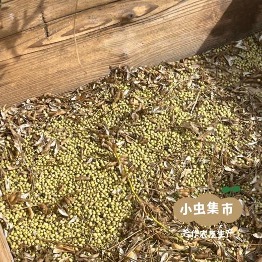 【2025年新豆】生态老品种青皮黄豆 850g/袋 | 合作农友生产，来自贵州黎平洋洞，生产者：杨邦荣 &【公平贸易农人定价】 商品图6