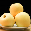 烟台·绿脆香/黄金维纳斯/黄金奶油富士 果园直发 富有苹果果味  5斤装 商品缩略图3