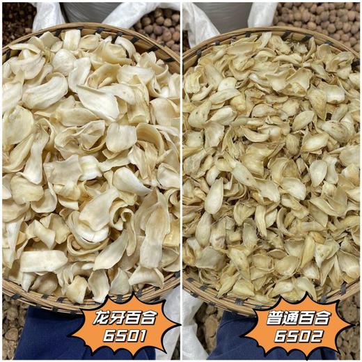 龙牙百合 普通百合 肉大厚实，片大饱满 商品图0