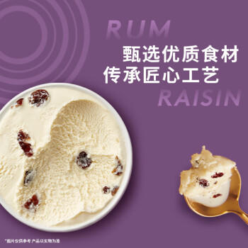 哈根达斯（Haagen-Dazs）葡萄朗姆酒大桶冰淇淋 473ml/桶 家庭装 雪糕 商品图1