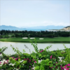 芽庄珍珠岛高尔夫俱乐部 Vinpearl Golf Nha Trang  | 芽庄高尔夫球场 | 越南高尔夫球场 俱乐部 商品缩略图7