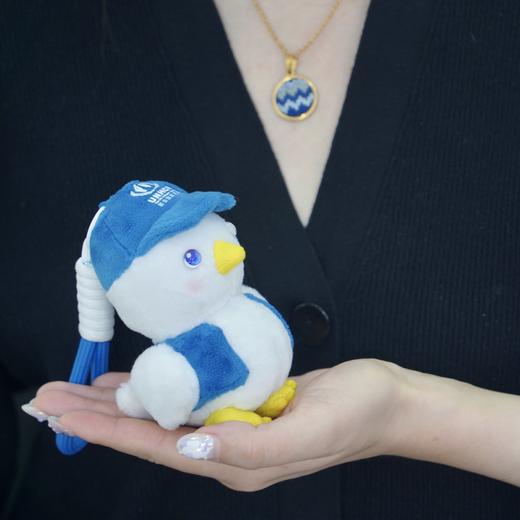 一份心意：“小赞鸽”毛绒挂件 商品图6