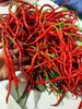 浏阳鸡肠子红辣椒，1斤 商品缩略图4