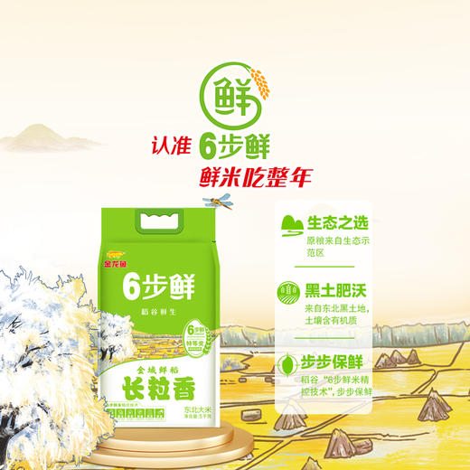金龙鱼稻谷鲜生6步鲜金域鲜稻长粒香5kg 商品图0