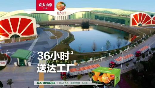 【会员21.5/4颗】农夫山泉17.5°赣南脐橙 48#大果 铂金果 商品图5