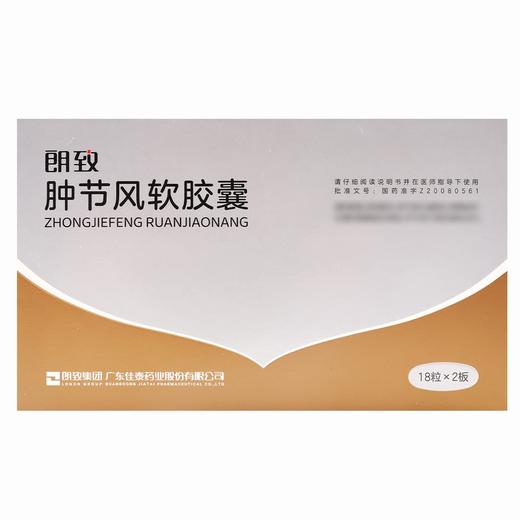 郎致,肿节风软胶囊 【0.6g*36粒】 广东佳泰 商品图1