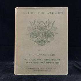1910年 兰花图集 约百幅插图 精装16开