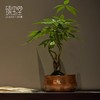 臻宝堂铜建水纯手工锤纹茶渣桶大容量平仲茶洗家用水盂茶具零配件平仲建水 商品缩略图5