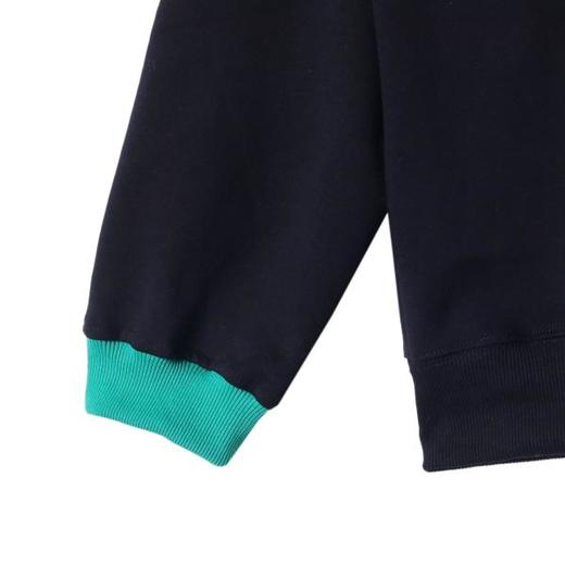 WY708新款时尚个性韩版撞色刺绣字母圆领长袖卫衣宽松潮流宽松 商品图4