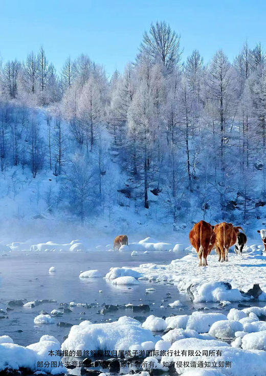 【冰雪温泉之旅】阿尔山滑雪温泉 双飞六日 商品图1