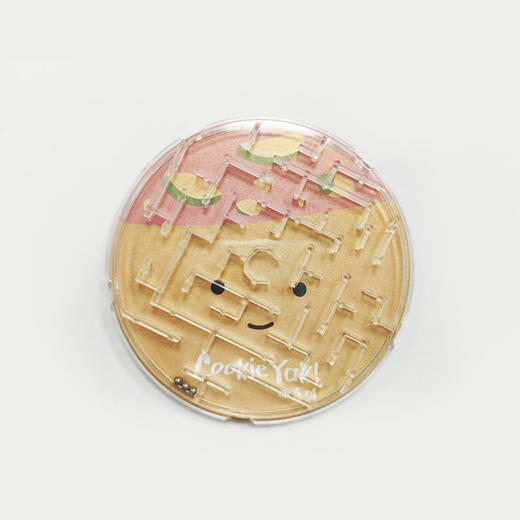 周边｜烧烧子迷宫（8款花色随机） 商品图2