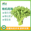 首单优惠！有机蔬悦套餐 商品缩略图4