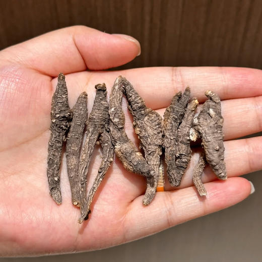 【西藏野生藏当归】西藏林芝地区野生当归100g 商品图2