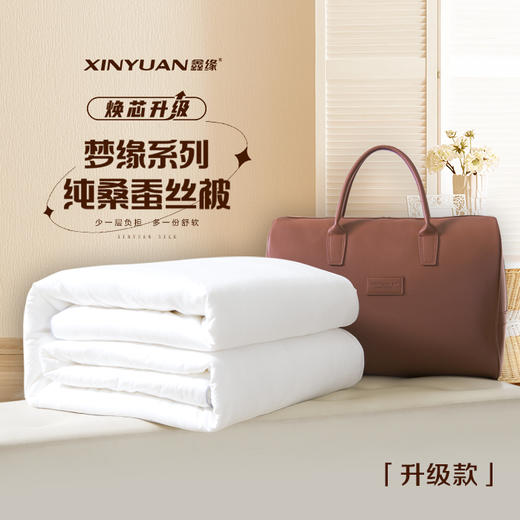 梦缘系列纯桑蚕丝被 AQPD 商品图1