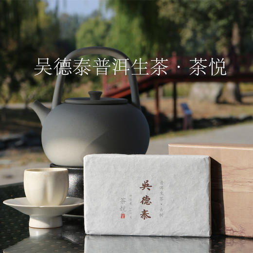吴德泰普洱生茶·茶悦 商品图0