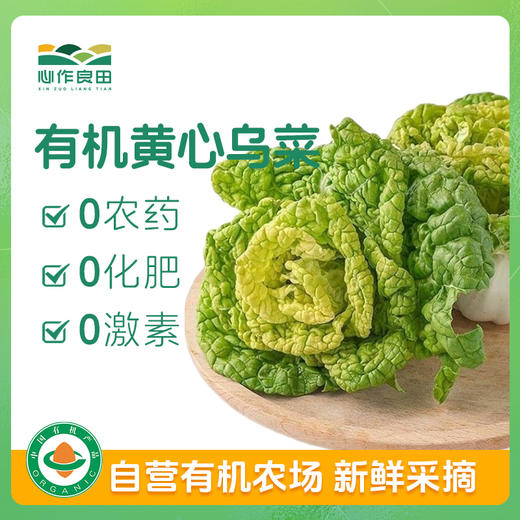 首单优惠！有机蔬悦套餐 商品图2