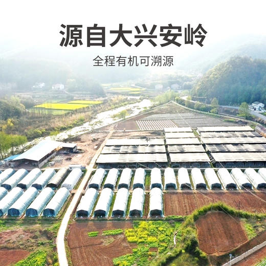 方家铺子 有机香菇100g/袋装 商品图7