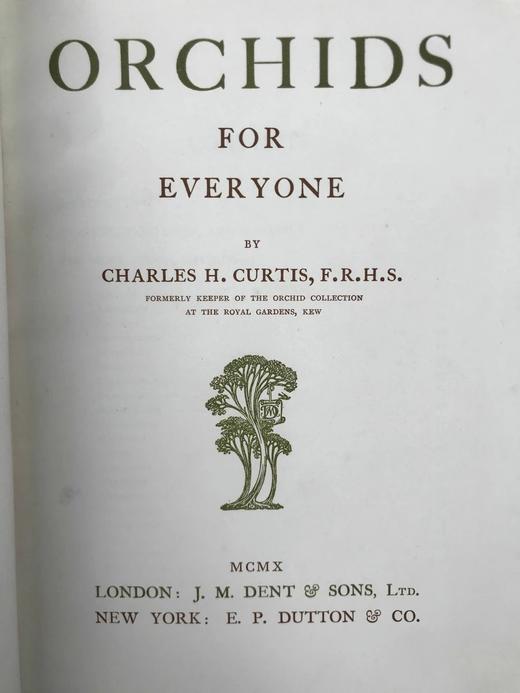 1910年 兰花图集 约百幅插图 精装16开 商品图4