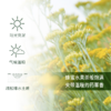 永久花Helichrysum单方精油5ml 商品缩略图2