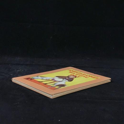 约20世纪中期 阿米莉安的洗衣日 皮尔斯数十幅彩色插图 精装32开 商品图1