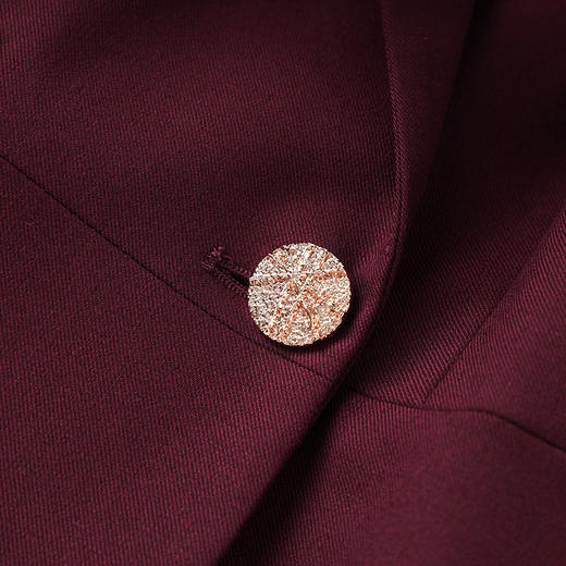 安哥拉红法式高级感，收腰通勤羊毛西装领长裙WLZD2431804 商品图3